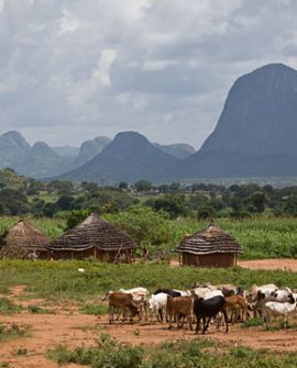 The northern region