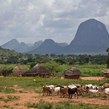 The northern region