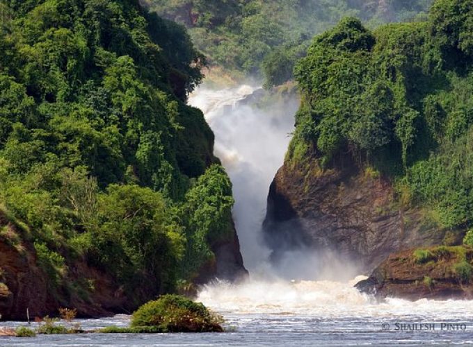 3-DAY MURCHISON FALLS NP SAFARI ADVENTURE – MIDRANGE