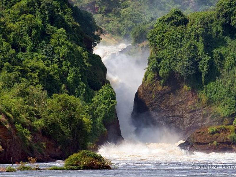 3-DAY MURCHISON FALLS NP SAFARI ADVENTURE – MIDRANGE