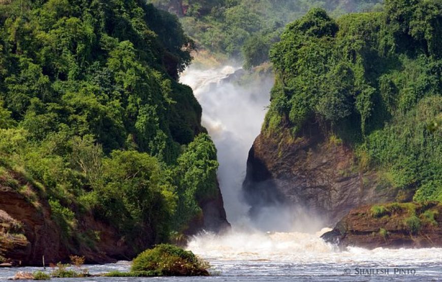 3-DAY MURCHISON FALLS NP SAFARI ADVENTURE – MIDRANGE