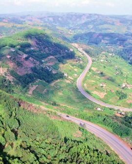 The western region