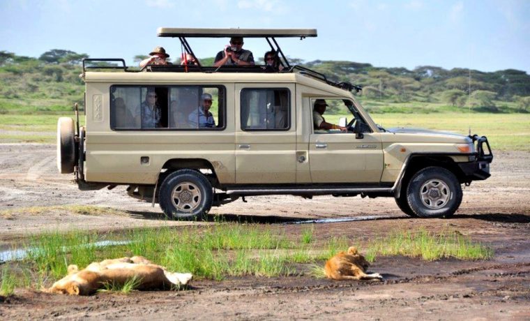 Safari Land Cruiser