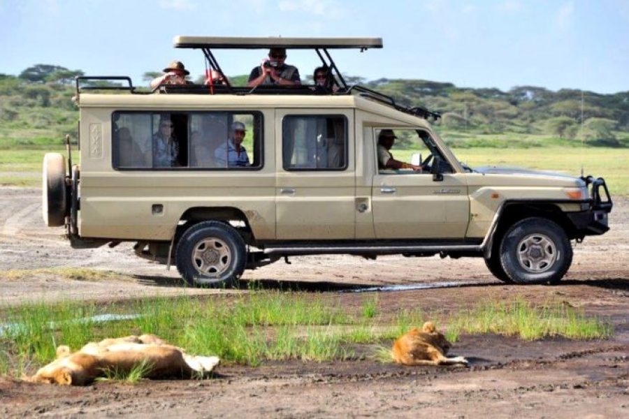 Safari Land Cruiser