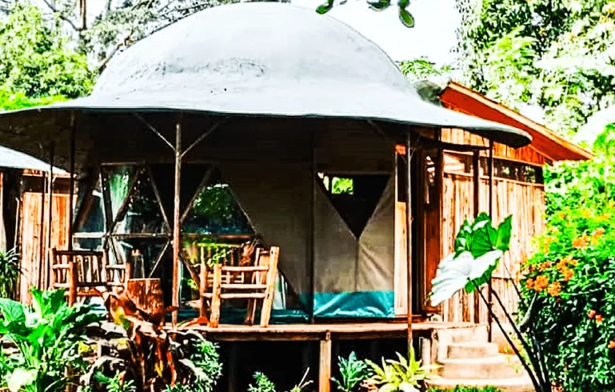 JINJA BACKPACKERS