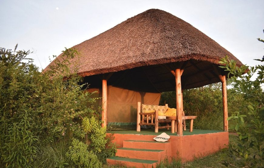 SAFARI TENT – Thatch covered tents with verander. Out door en-suite with hot water – sleep 1-3